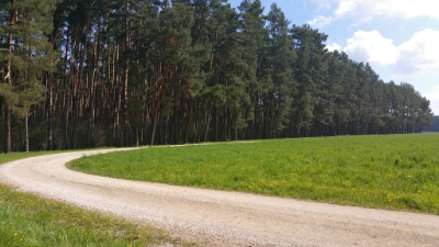 Bist Du noch auf DEINEM Weg? | jabajabadu.de